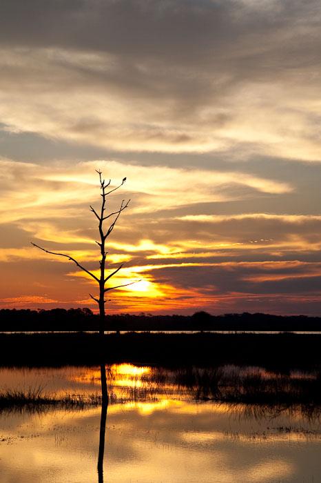 St. Marks National Wildlife Refuge