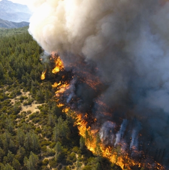 Wildfire raging across a California forest