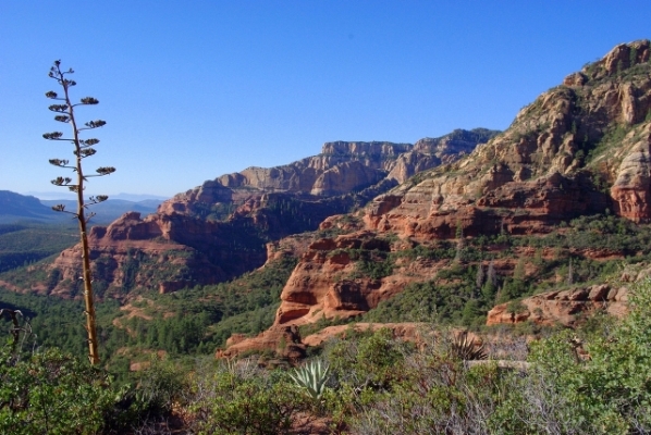 Coconino National Forest, Arizona