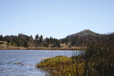 Cuyamaca Lake