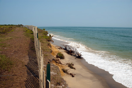 A stretch of Chappaquiddick Island that is being eroded