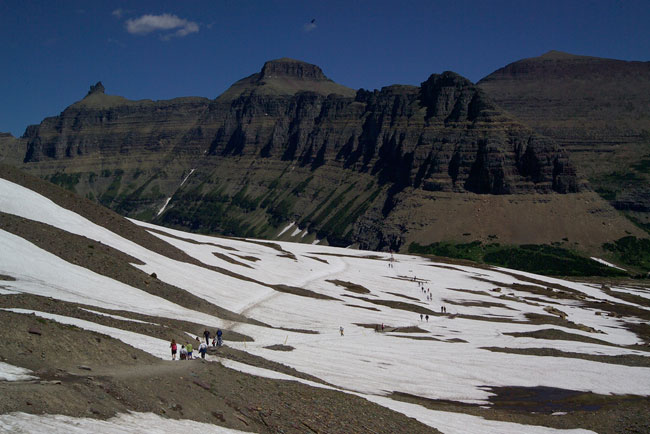 Visitors walking the trail from Logan Pass Visitor Center to Hidden Lake Overlook in Glacier National Park