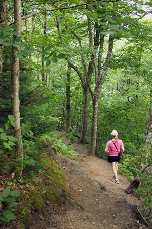 Hiking Vermont’s Long Trail
