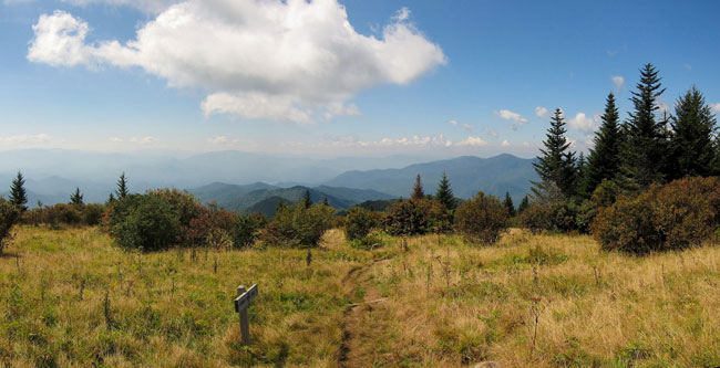 Forney Ridge Trail, Great Smoky Mountains National Park