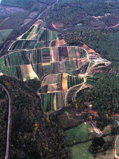 Agricultural fields