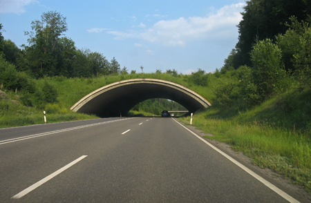 A green bridge over a highway in Boeblingen, Germany.