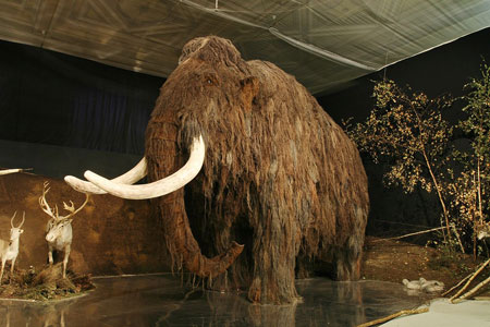 Mammoth in Prague’s National Museum