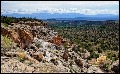 New Mexico Plains 