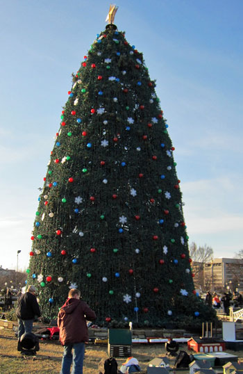 2010 National Christmas Tree