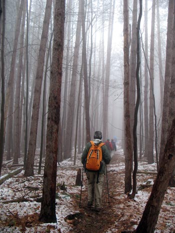 Hiking the Interloken Trail during winter