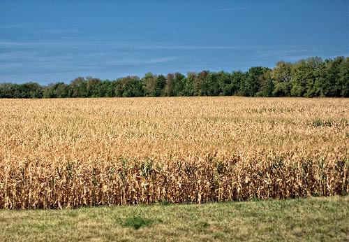 The drought of 2012 was one of the Midwest’s worst.