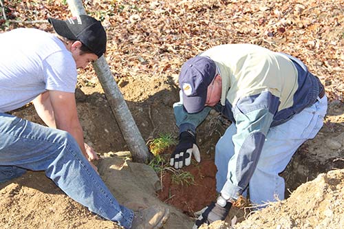 American Forests volunteer helps Arlington County employee with tree-planting.