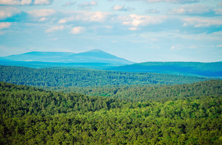 Ouachita National Forest