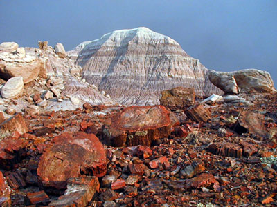 Striped badlands contrast with the colorful petrified wood at Petrified Forest National Park
