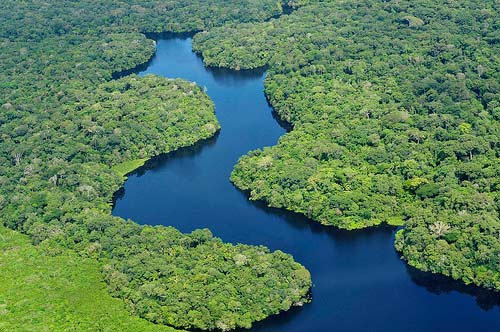 Aerial view of the Amazon
