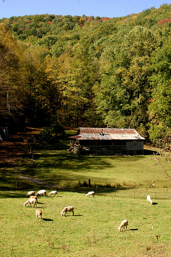 Credit: A family farm in Harlan County, KY enrolled in CSP. USDAgov/Flickr