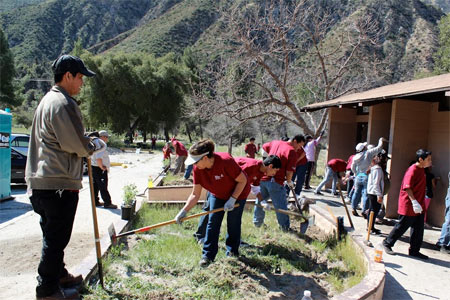 Volunteers doing restoration work in Angeles National Forest