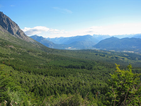 A view of the forests around El Bolsón, Argentina