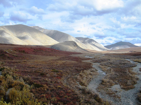 The tundra in Kobuk Valley National Park in Alaska