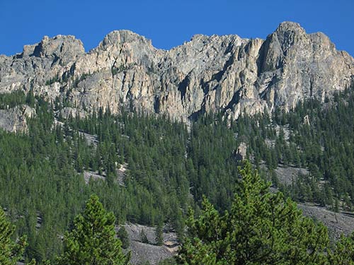 Custer National Forest