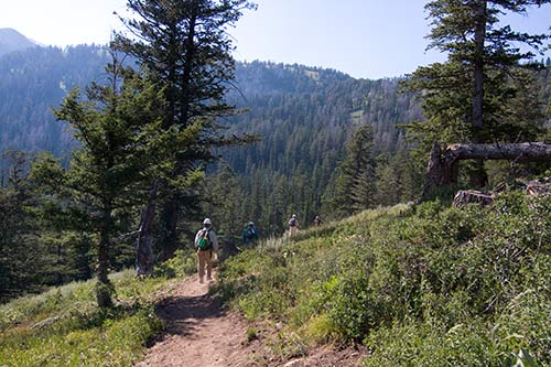 Hiking in Bridger-Teton National Forest