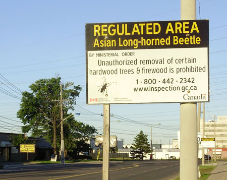 Other countries are battling the same invasive pests as the U.S.. A sign posted in Toronto, Ontario, is part of Canada’s efforts to contain an infestation of Asian long-horned beetles.