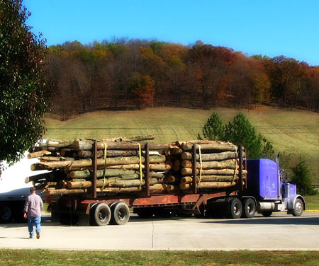 Logging truck in Ohio