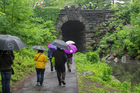American Forests supporters explore Central Park's North Woods