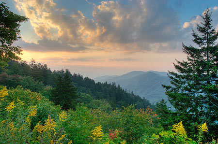 Great Smoky Mountains National Park. Credit: Matthew Paulson