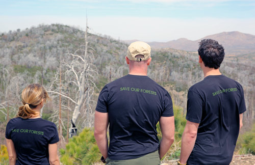 At an American Forests Global ReLeaf restoration site in 2013