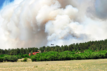 Members of the U.S. Army fight the Black Forest Fire in Colorado