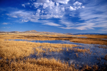 Lower Klamath Lake National Wildlife Refuge.
