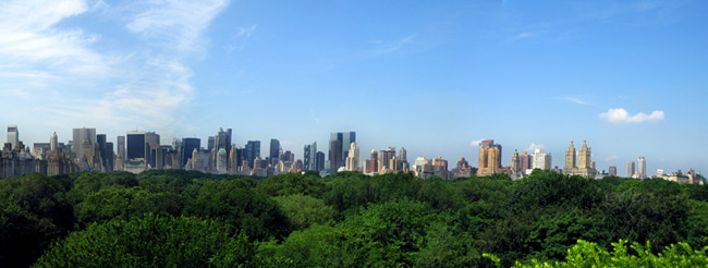 New York City, where eight lives are saved each year from trees removing fine particulate matter from the air