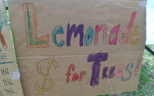 Lemonade money for trees