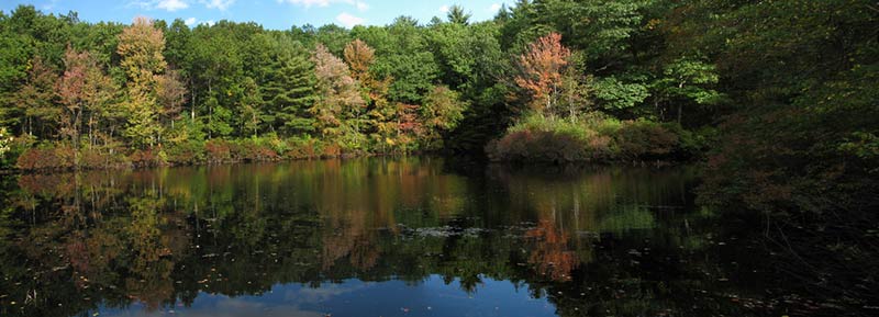 Walden Pond in Concord, Mass., where Henry David Thoreau lived and wrote for two years.