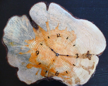 A clock made from wood displaying the effects of the blue stain fungus