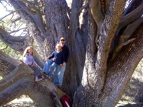 Cherry family and co-champion alligator juniper