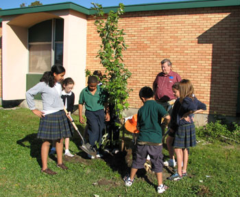 Students plant trees in Jefferson Parish as part of American Forests Katrina ReLeaf efforts.