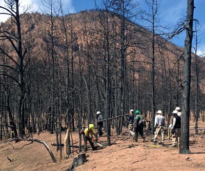 An AmeriCorps crew performs bank stabilization work at the site of the 2012 Waldo Canyon Fire in Colorado Springs, Colo.