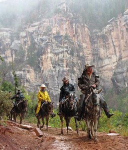 Mule ride at Grand Canyon National Park
