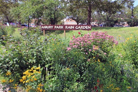 A rain garden developed by the Asbury Park Environmental Shade Tree Commission in Asbury Park, N.J.