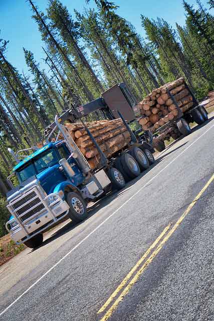 Logging truck in Rogue River National Forest. 