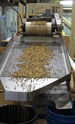 At Hammons Products Company, 25 million pounds of walnuts are processed each year. This machinery is part of the sorting process that separates nut pieces based on their size.
