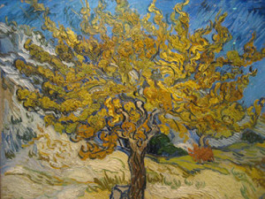 Vincent Van Gogh's "Mulberry Tree"