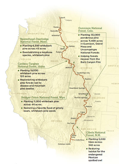 Map of Great Divide Mountain Bike Route and American Forests Planting Sites