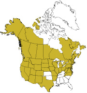 Growing range of quaking aspen in the U.S. Source: USDA Plants Database. Map: Brad Latham