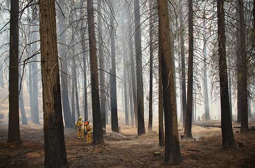 Rim Fire at Oak Flat Information Center in Yosemite.