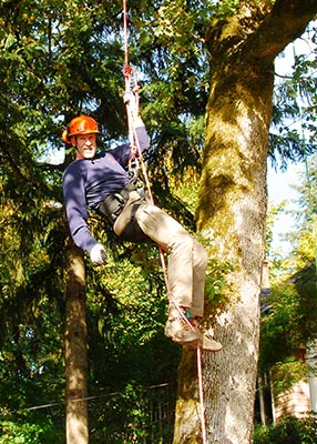 Terrill Collier tree climbing.