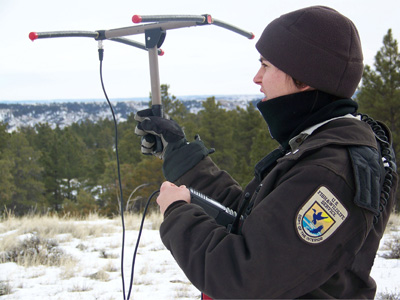 Radio telemetry equipment is used to locate radio-collared wildlife.