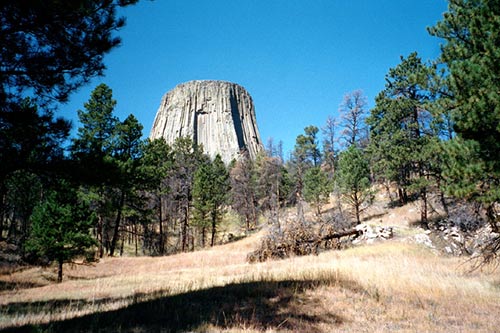 Devil's Tower is one of many National Monuments surrounded by forest ecosystems. 